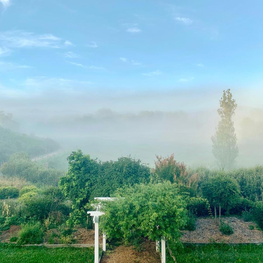 Tracy'S Boutique B&B Farmstay Wellsford Dış mekan fotoğraf