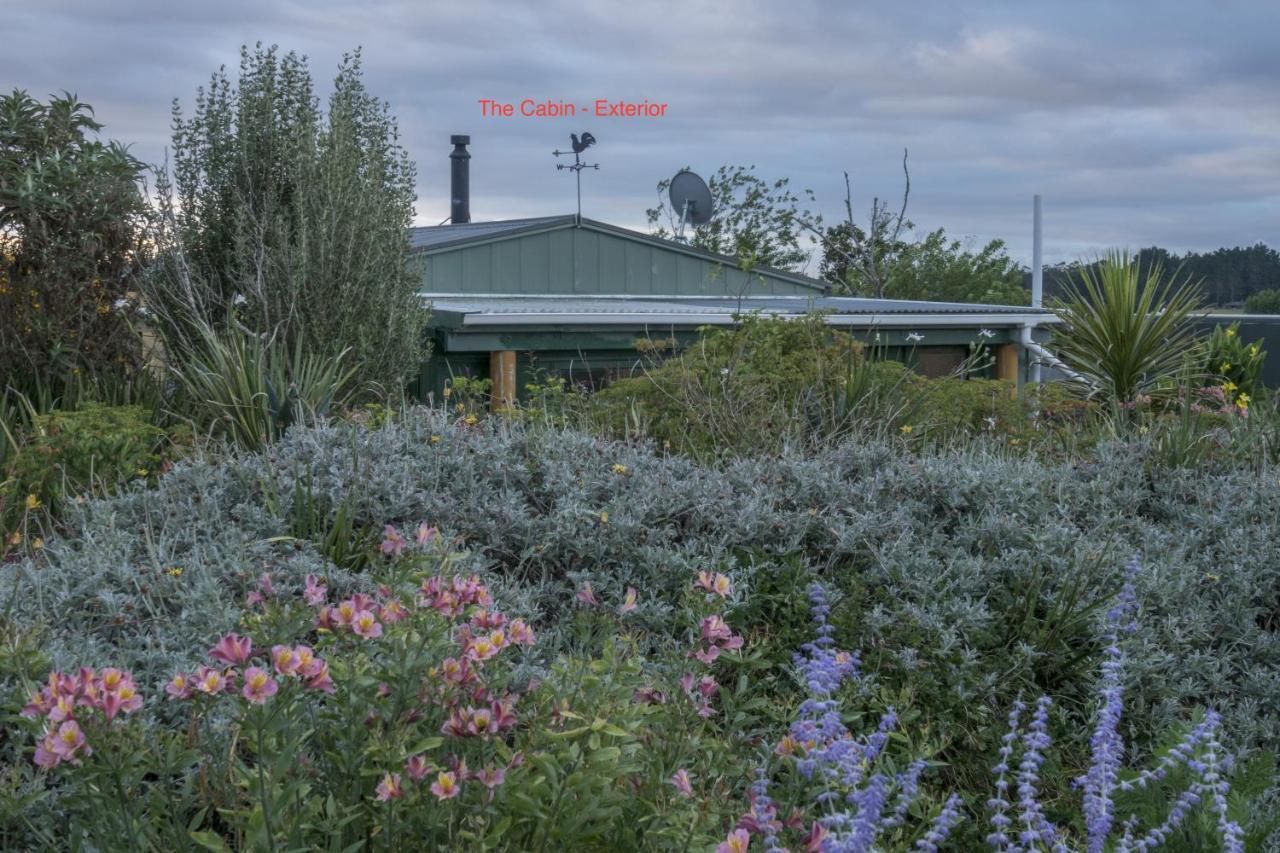 Tracy'S Boutique B&B Farmstay Wellsford Dış mekan fotoğraf